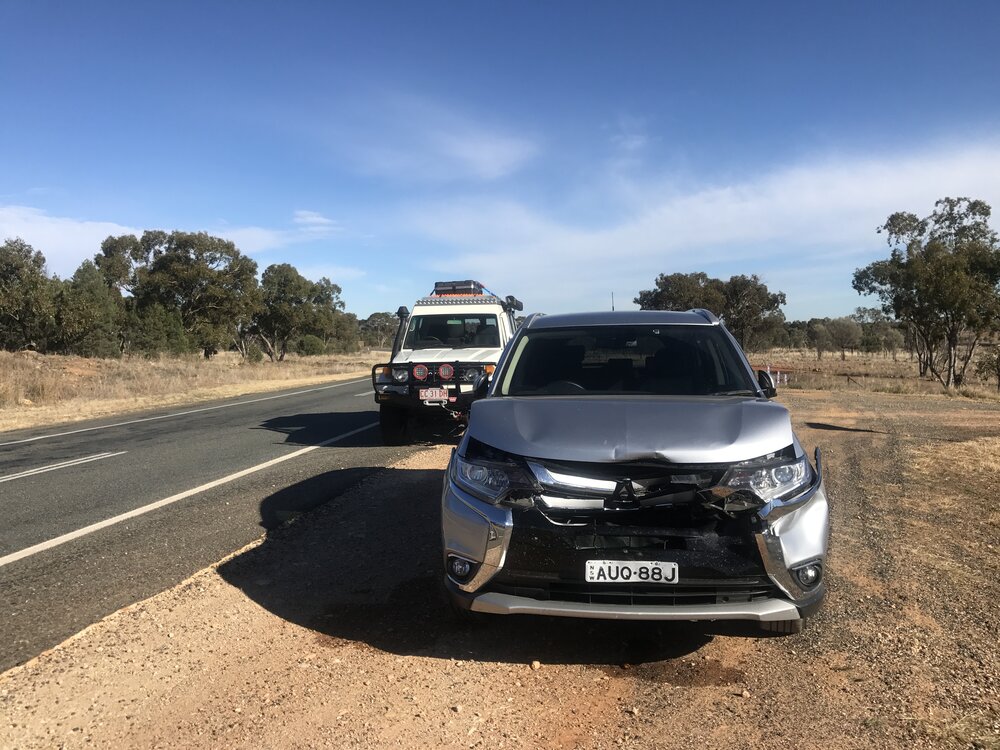 Kangaroo carnage in the morning. Don’t drive at night, and roo-bars do work. | Photo: Jonathan and Roseann Hanson