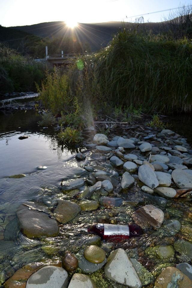 Bottle of rosé wine chilling in Robin Hood Bay on New Zealand Image: @MyTicketToRide