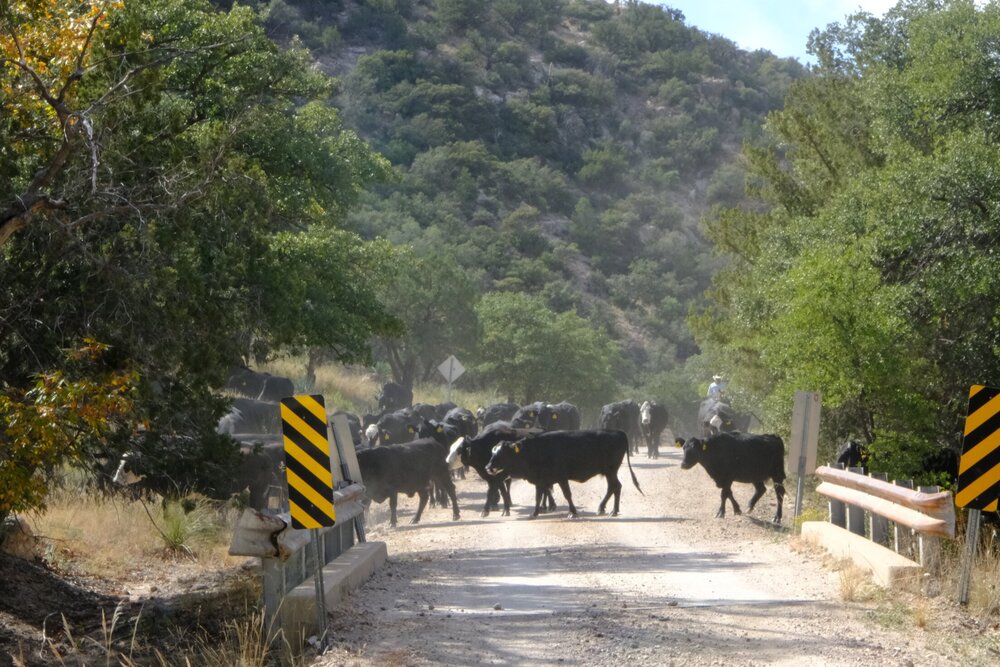 Rush hour on FR 42.