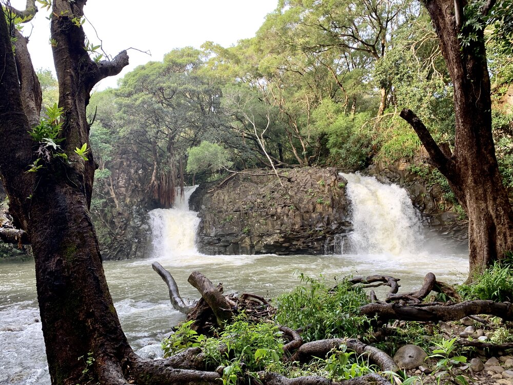  Twin Falls: The Road to Hana 