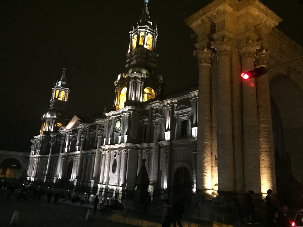 IMG_8584 copy.JPG