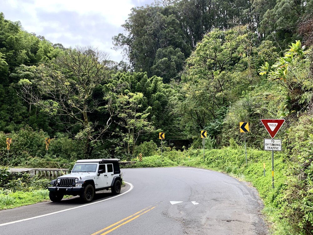  One of many one-lane bridges on The Road to Hana 