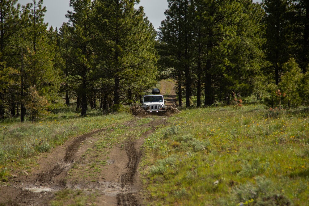  Winslow’s stock JKU | Photo: Nick Jaynes 