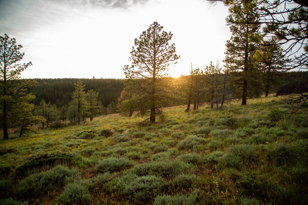   The view from my campsite after the squall cleared. | Nick Jaynes  