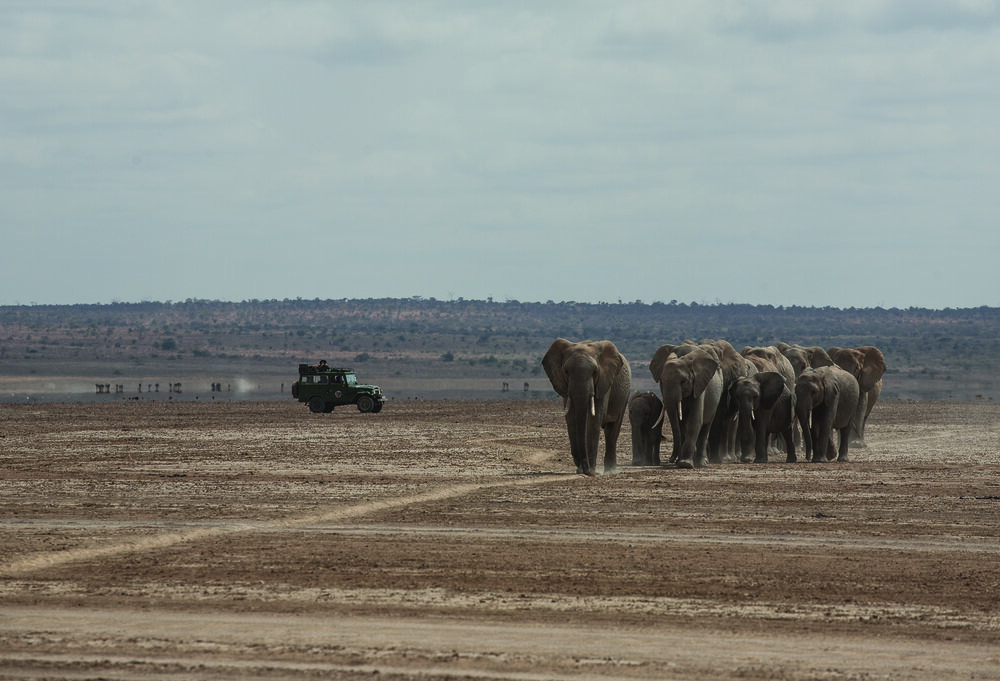 Land Cruiser on Safari in Kenya. | Jonathan Hanson