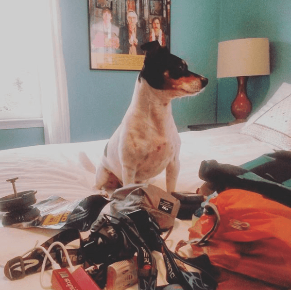 Sir Digby tolerates road trips if you bring his favorite stuff.