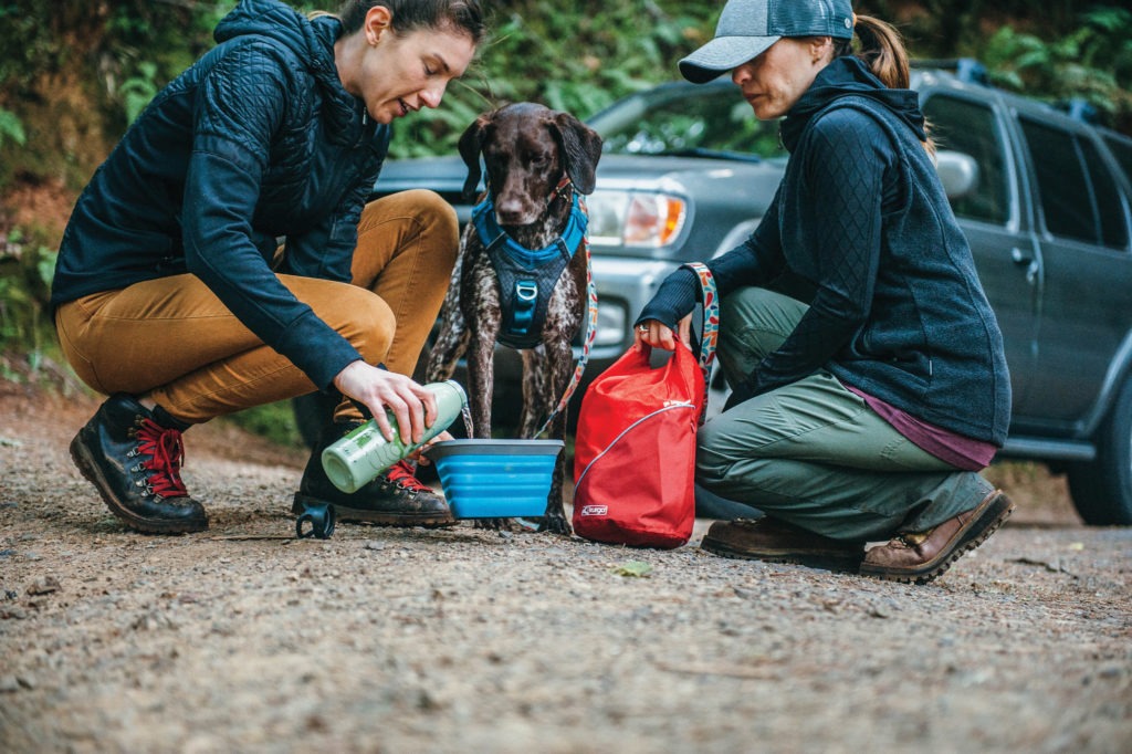 Image shows two people with a dog. The people are pouring the dog water and food.