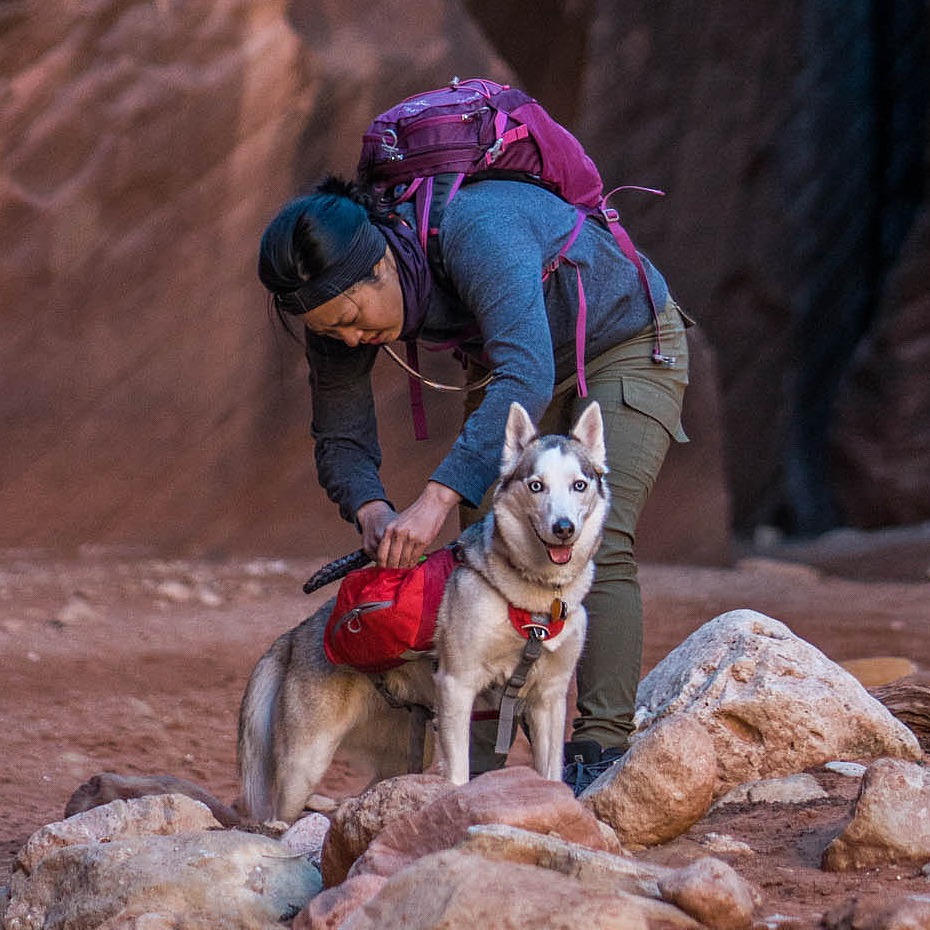 Image shows a hiker fits the Baxter Dog pack to a dog in a red rock canyon like environment.