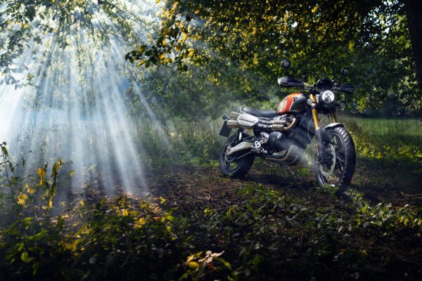 Triumph Gold Line Scrambler in the woods