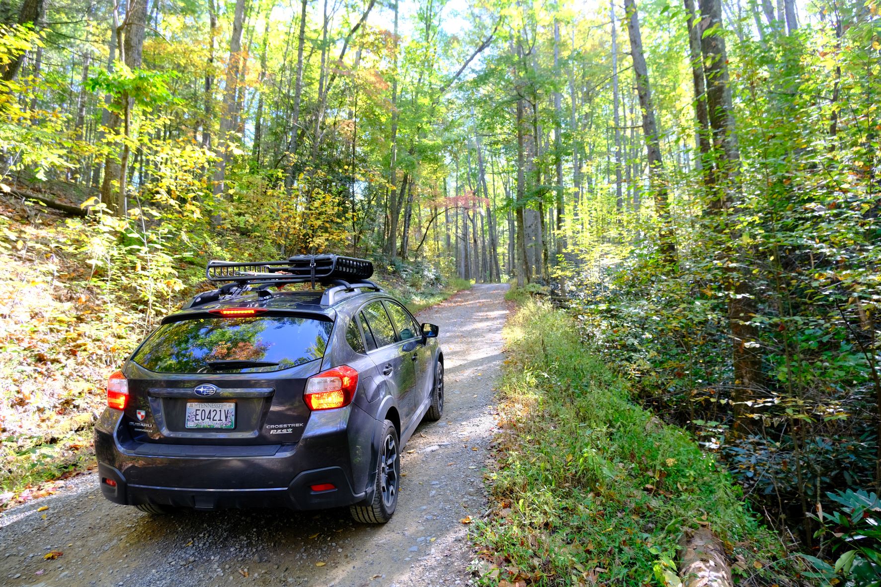 Subaru Crosstrek on a forest road