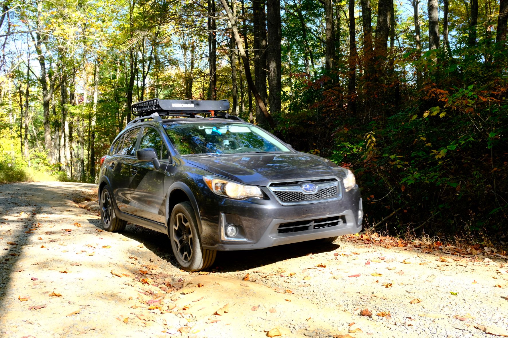 Subaru Crosstrek on a forest road