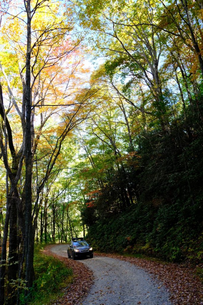 Subaru on a forest road. 