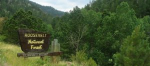 Entrance sign to Roosevelt National Forest near Estes Park, Colorado.