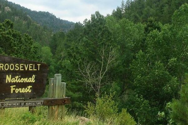 Entrance sign to Roosevelt National Forest near Estes Park, Colorado.