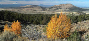 Looking west across Crooked River National Grassland