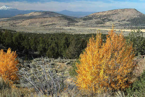 Looking west across Crooked River National Grassland