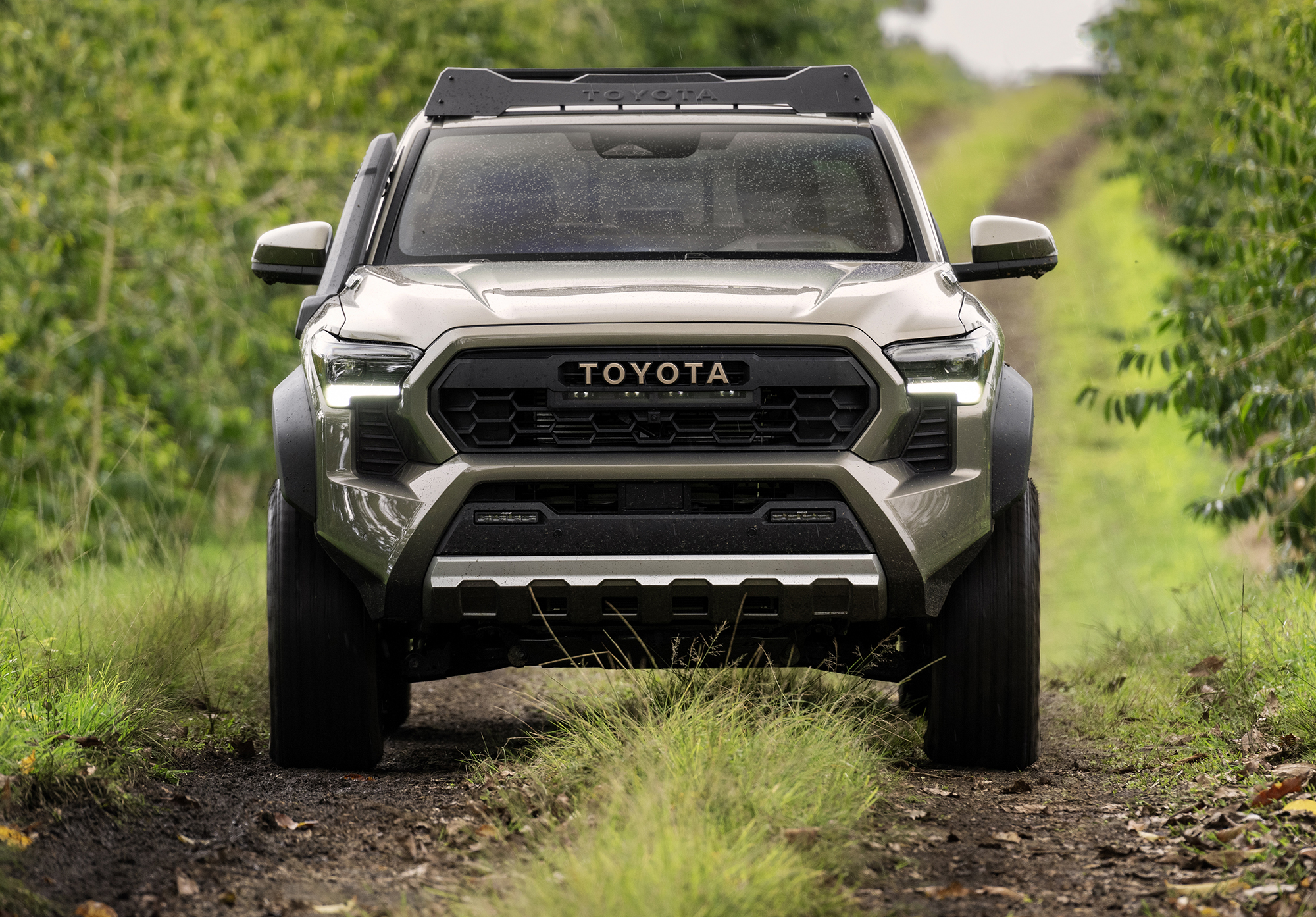 Toyota Tacoma сзади