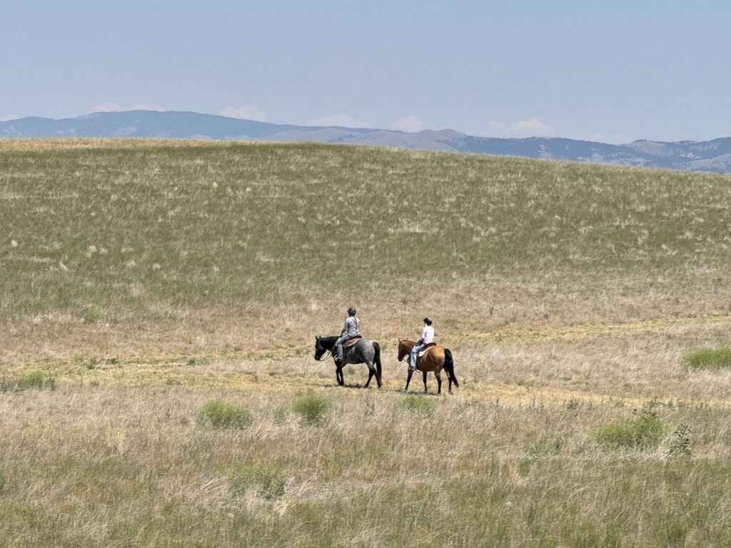 proper trail etiquette rule #1 for sharing the trail is to give equestrians plenty of space