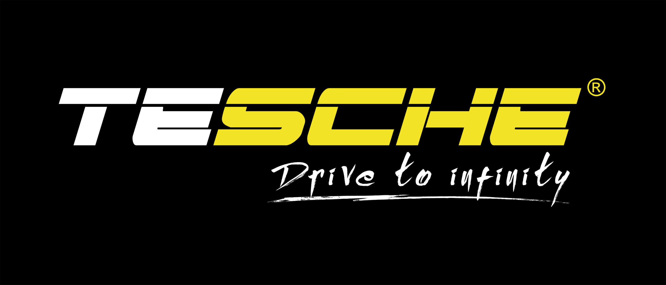 TESCHE LOGO