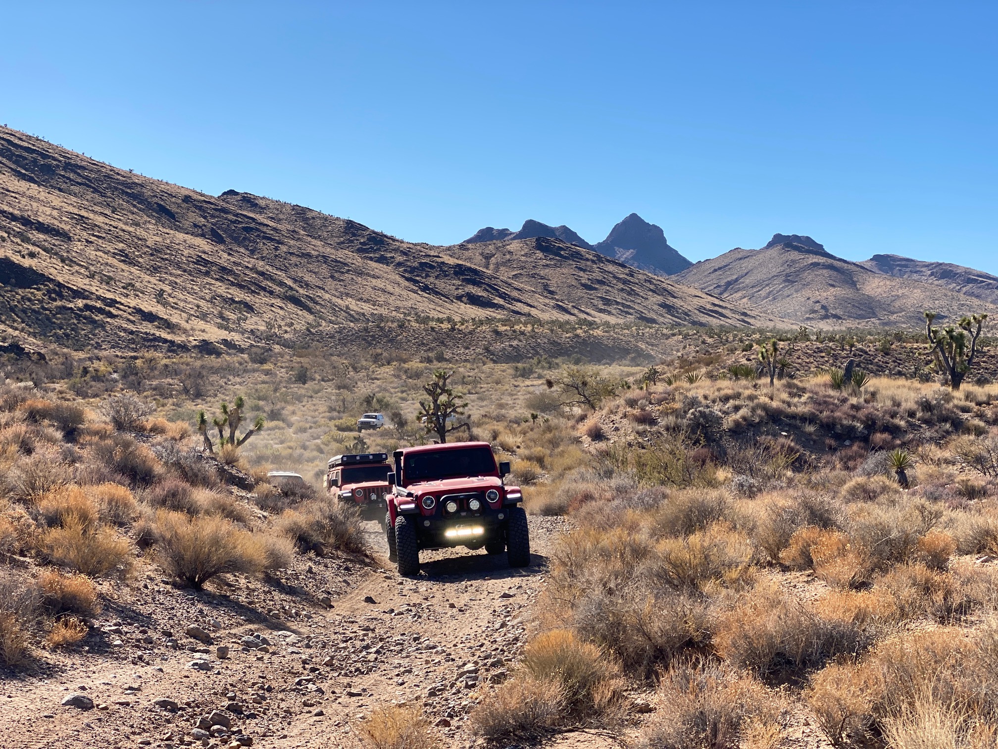 Off-Road Business Association Relaunches with Renewed Goals and Collaborations