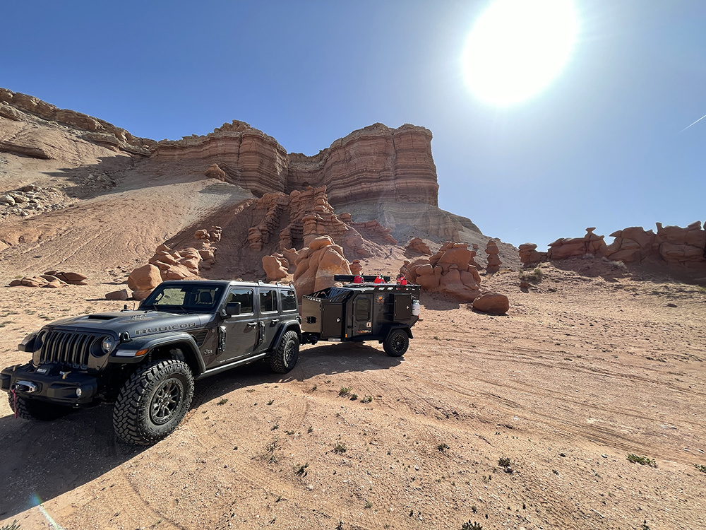 Industry Spotlight: WildRoute AI