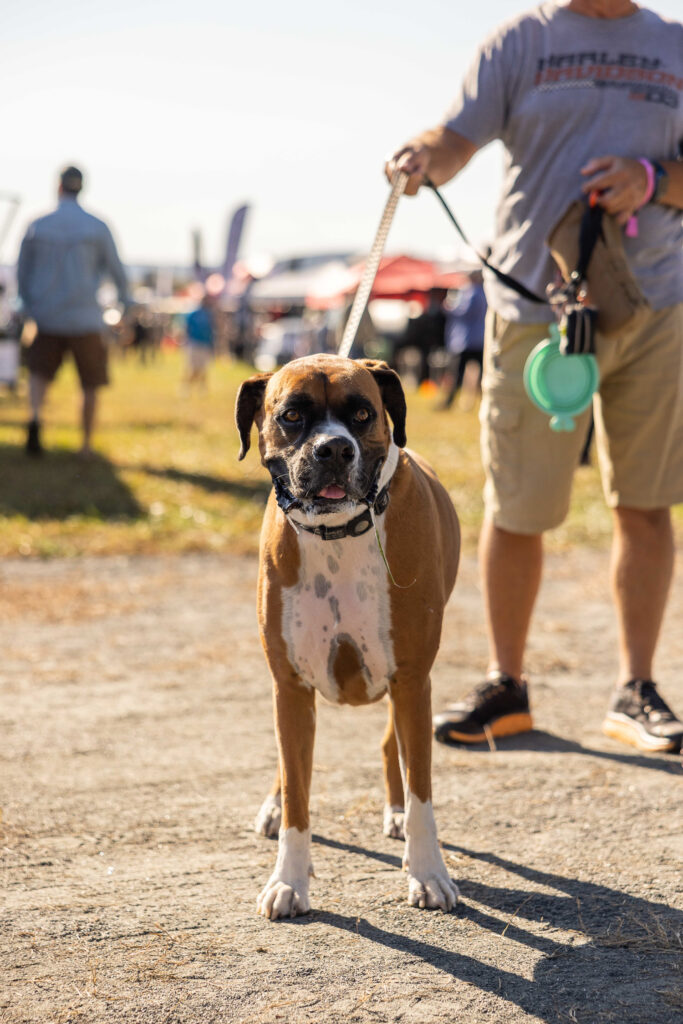 Overland Expo East